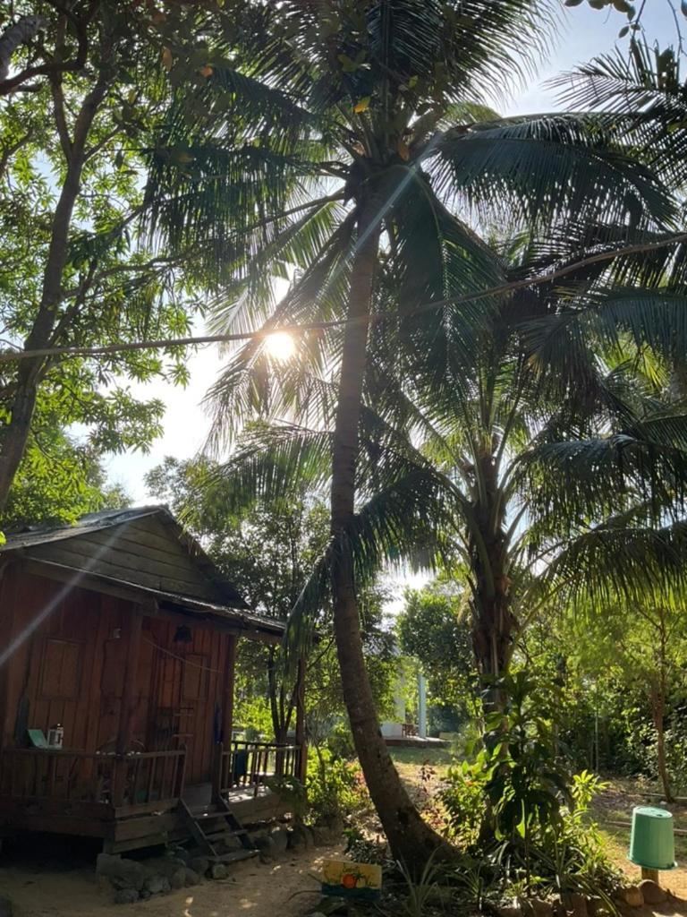 Easy Tiger - M'Pai Bay Beach, Koh Rong Sanloem Εξωτερικό φωτογραφία
